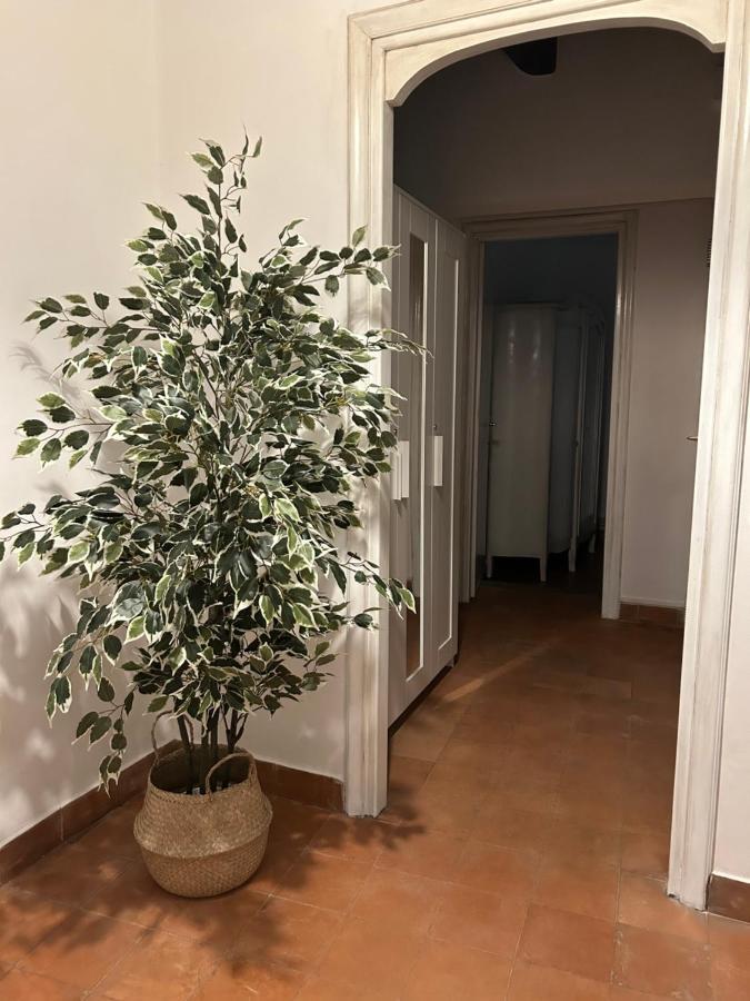 La Casa Di Gioia Appartement Ostia Antica Buitenkant foto