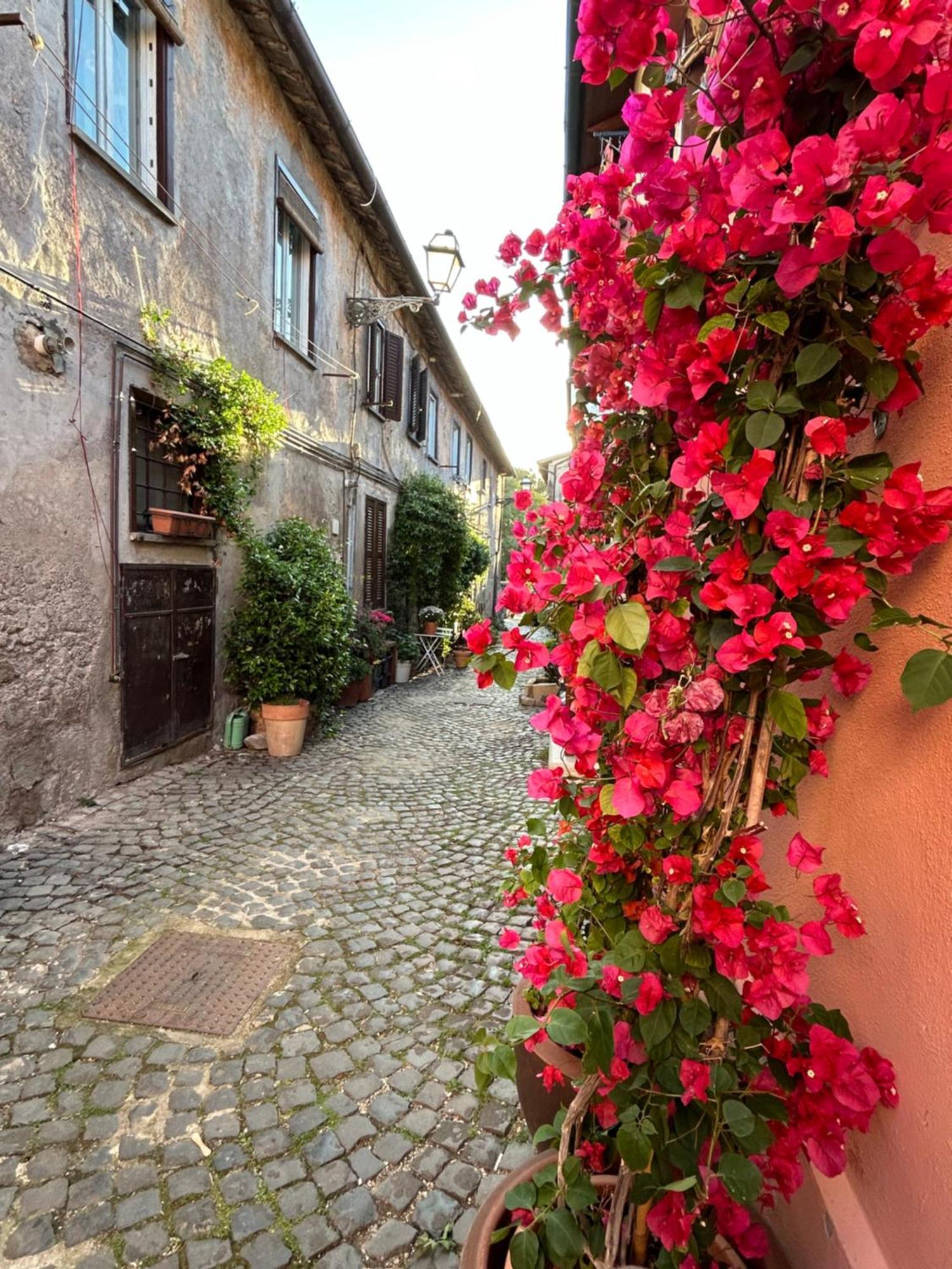 La Casa Di Gioia Appartement Ostia Antica Buitenkant foto